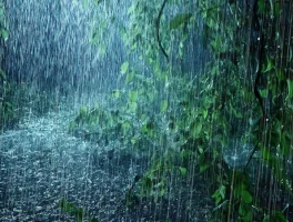 Rain: What to Expect