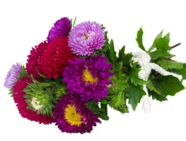 Aster's Data Integrity Challenge: What Went Wrong and Why It's a Crucial Moment for DeFi