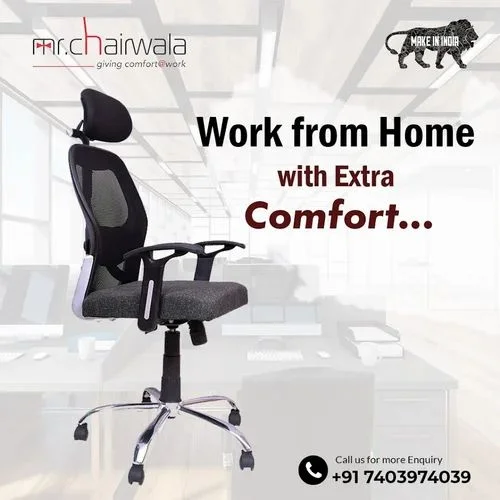 Ergo's Expansion: What's the Real Intelligence Gain?