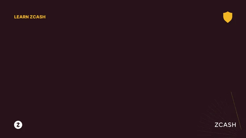 Zcash's Privacy Surge: What's Driving the Rally?